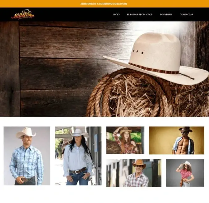 Páginas Web CDMX México